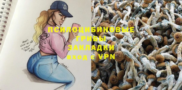 СК Аркадак